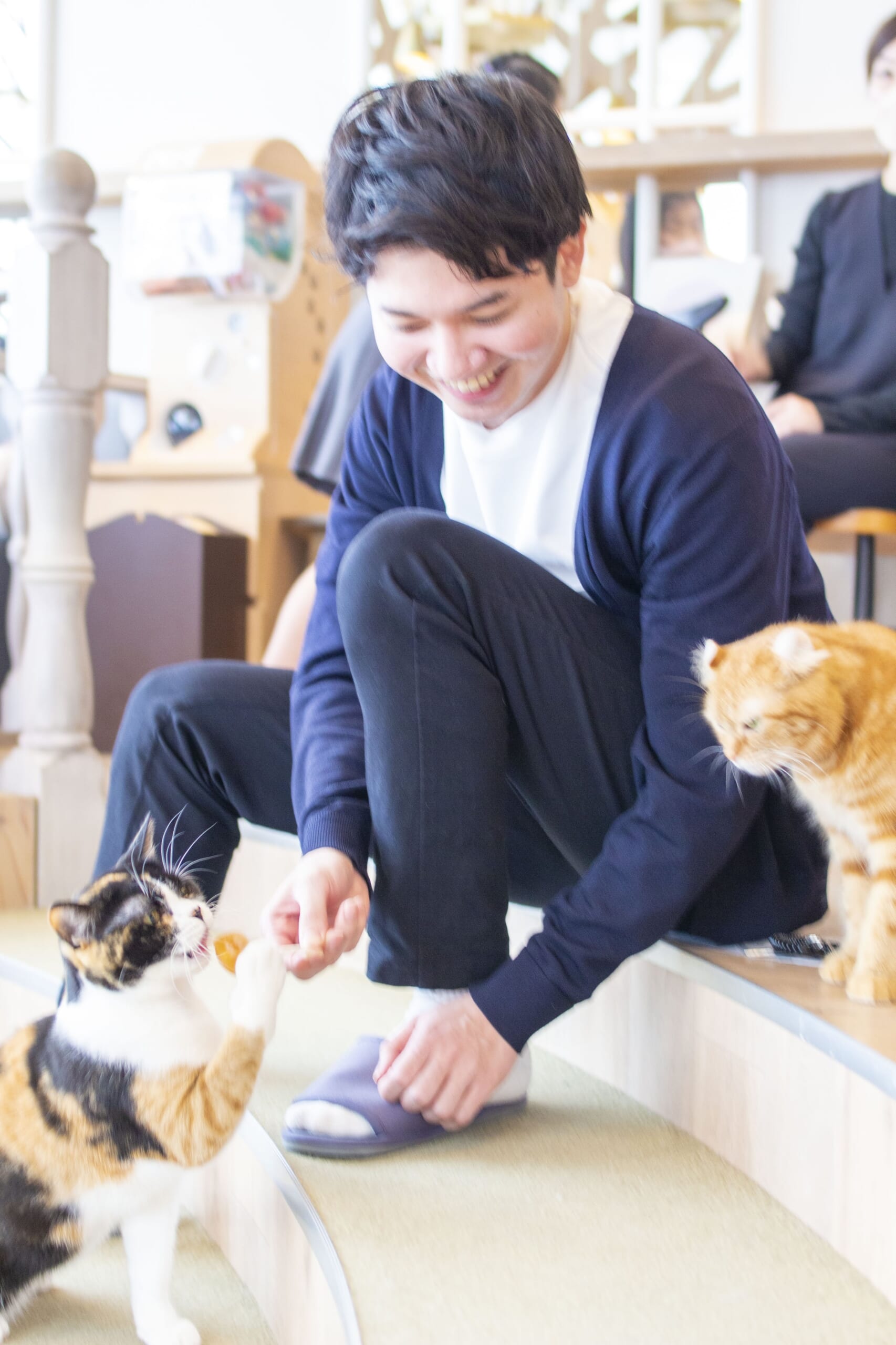 猫カフェでの撮影作例